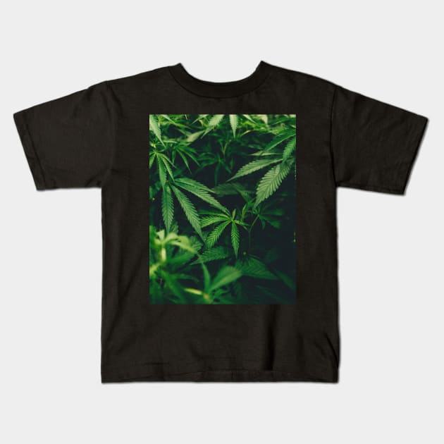 Cannabis Marijuana Leaves Kids T-Shirt by moonandcat